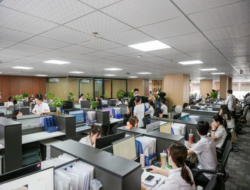 2026年四川企業(yè)如何選擇代理記賬 五大服務商深度測評與選型指南